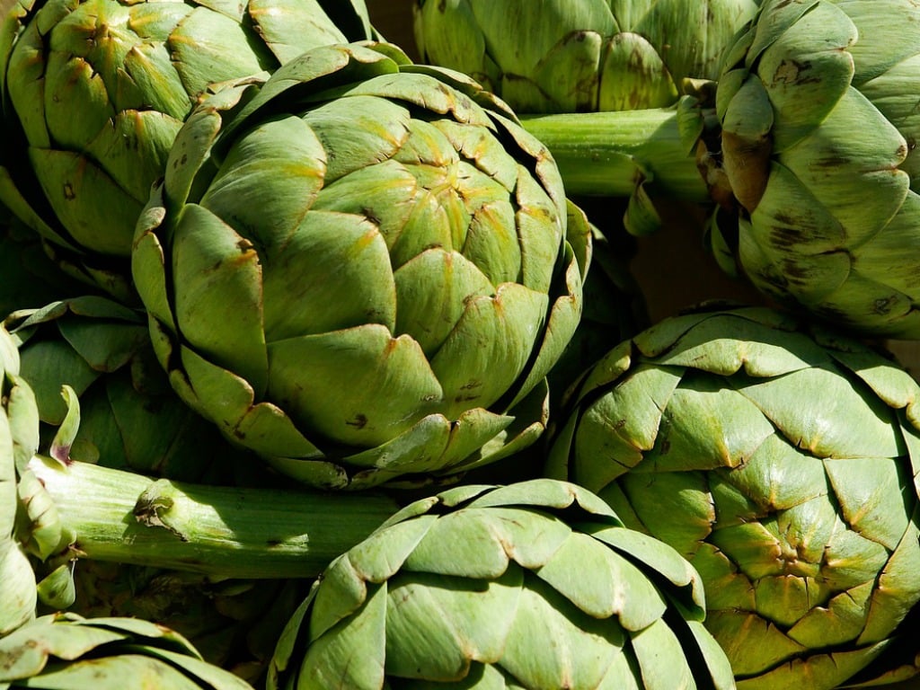 All About: Globe Artichokes