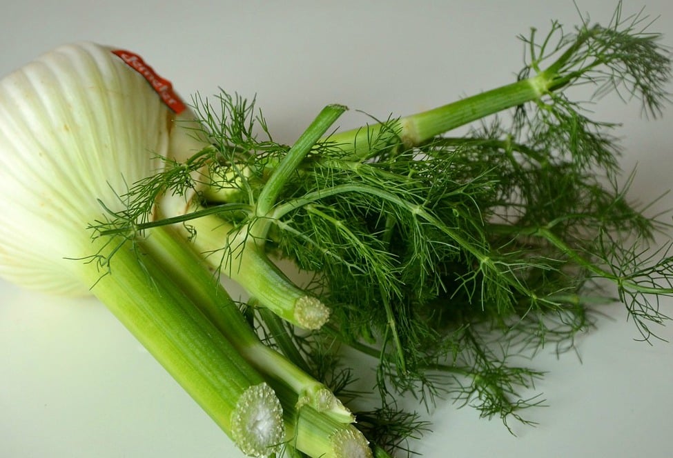 All About: Fennel