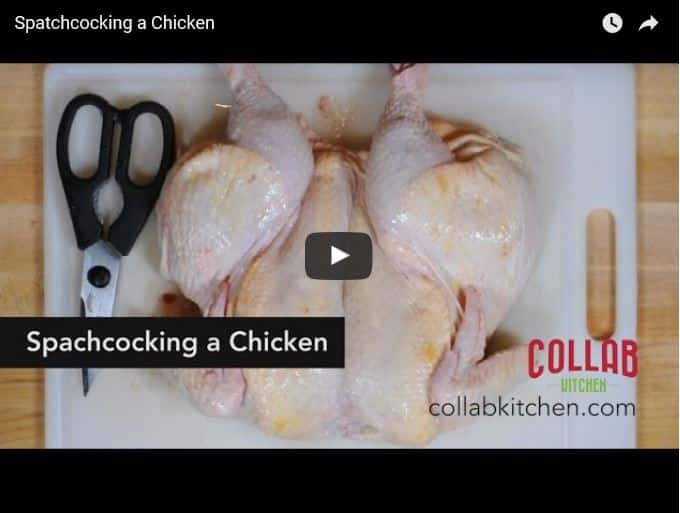 How to: Spatchcock a Chicken