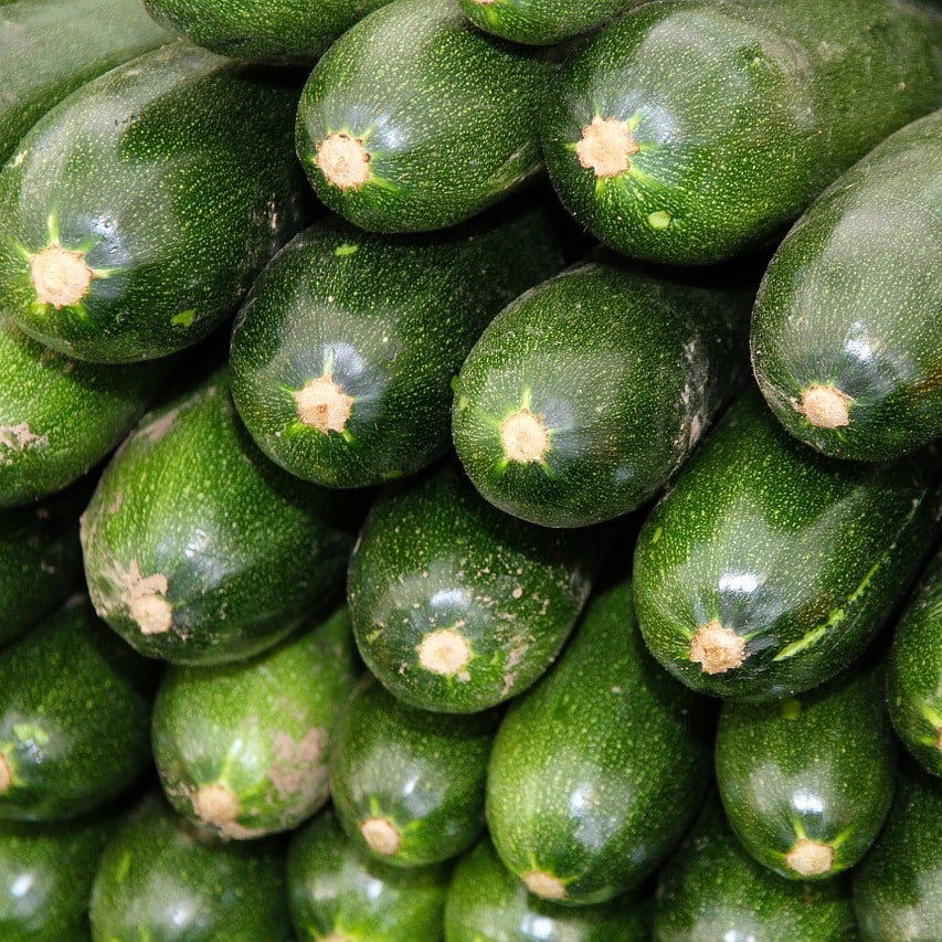 All About: Zucchini